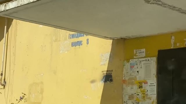 Катаем зелёнку. Опять единицы??♂️