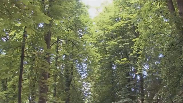 Город твоего сердца смотреть онлайн