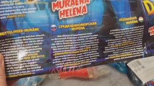 Морские бестии и Ko Макси !НОВИНКА ДеАгостини 2020 Игрушки   антистресс !