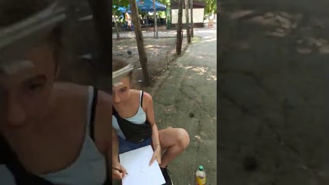 Наш пленер в зоопарке / рисование животных с натуры / смотреть онлайн