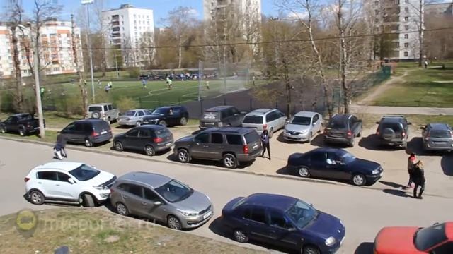 Парковка на газоне в Питере которую не замечают чиновники. 14.05.2017 г. смотреть онлайн