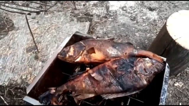 Рыбалка, вездеход 2 часть.