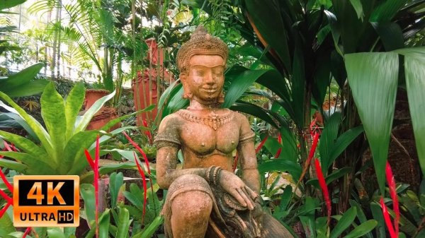 🇹🇭 Великолепное релакс видео из Таиланда!