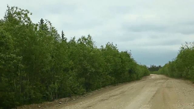 Дорога Печора - Медвежка - Конец Бор смотреть онлайн