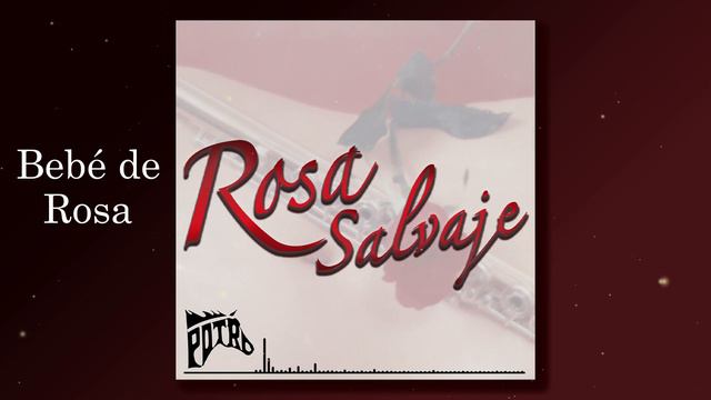 Bebe de Rosa смотреть онлайн