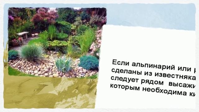 Как оформить сад, камни для сада смотреть онлайн
