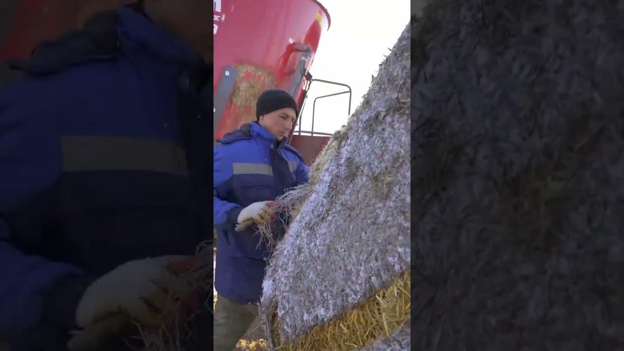 Грант на ферму КФХ Потаенков смотреть онлайн