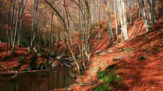Balkan Mountains (Stara Planina) in Bulgaria смотреть онлайн