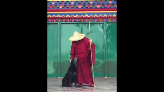 gate gate paragate parasamgate bodhi svaha смотреть онлайн