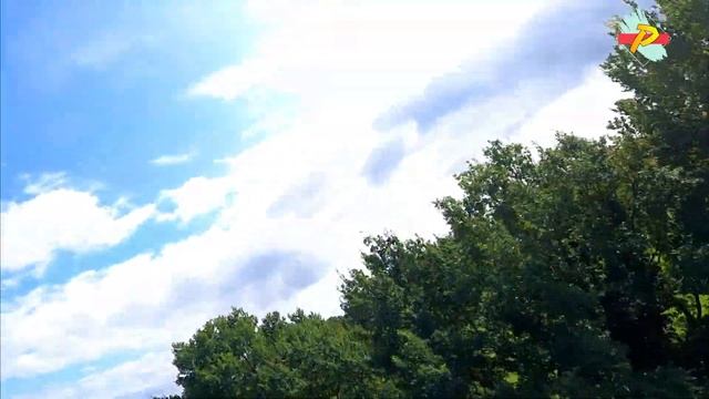 first freestyle session with my TBS Tango 2 смотреть онлайн