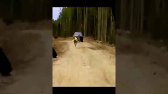 Пранк удался смотреть онлайн