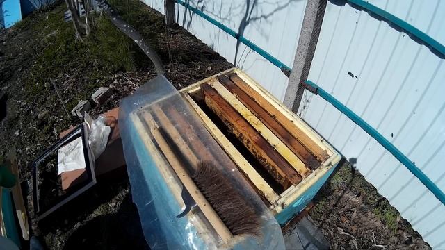 пчеловодство расширение семьи на 145 рамке установка 3 и 4 корпуса смотреть онлайн