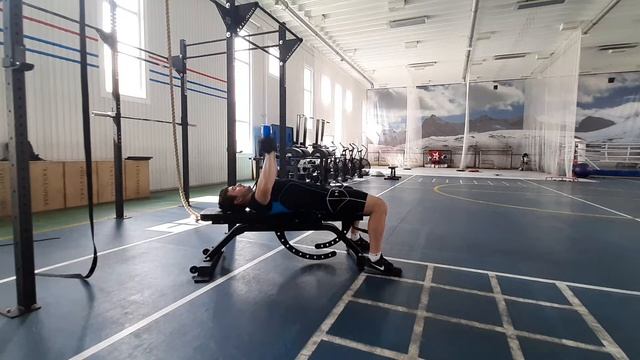 Жим гантелей лежа на горизонтальной скамье смотреть онлайн