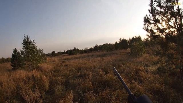 Охота на оленя на реву в Беларуси смотреть онлайн