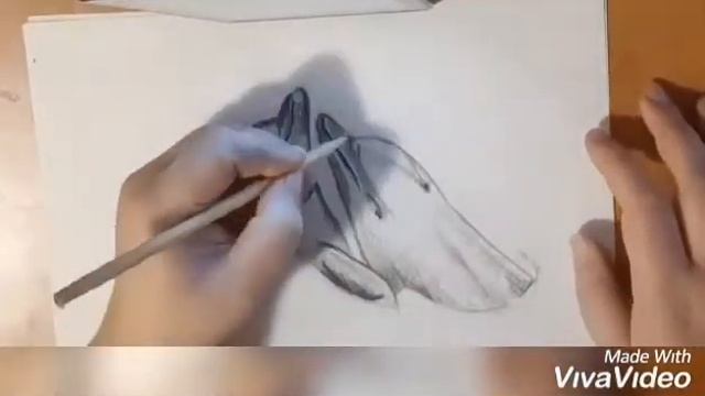 рисунок '♥️2 дельфина в открытом море♥️' смотреть онлайн