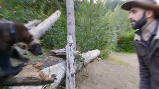 Это Самое Агрессивное Животное на Планете