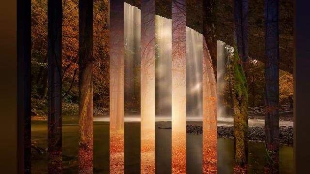 СТРИЧЬСЯ САМОСТОЯТЕЛЬНО - ЗАПРЕЩЕНО! смотреть онлайн