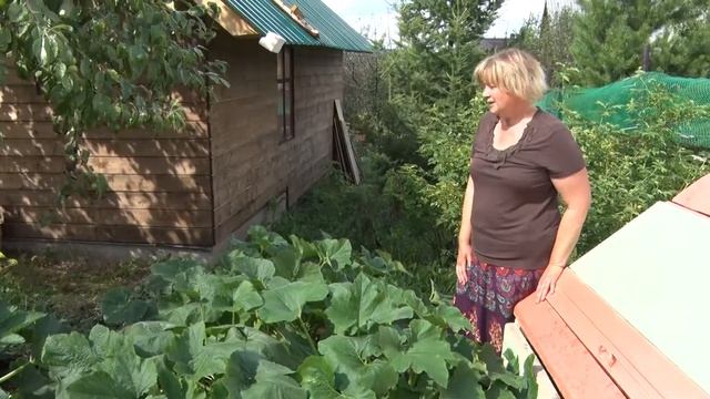 Компост. Просто и красиво смотреть онлайн