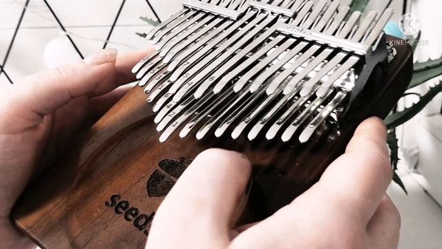 Ветер перемен | хроматическая калимба | chromatic kalimba Seeds смотреть онлайн