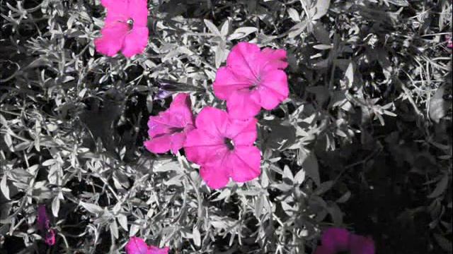 Canon sx20is Photos смотреть онлайн