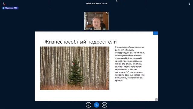 Открытая мастерская «Исследовательские проекты по теме «Основы лесоведения» смотреть онлайн