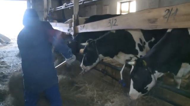 26 02 19 Юськи гуртысь фермер бизнес-акселератор ӵектосэ куриськон гожтӥз ВИДЕО смотреть онлайн