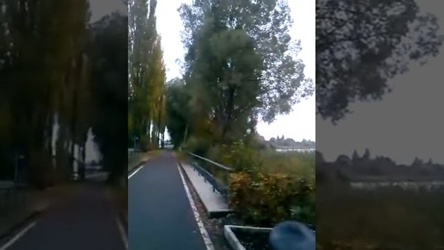 Остров Райхенау смотреть онлайн