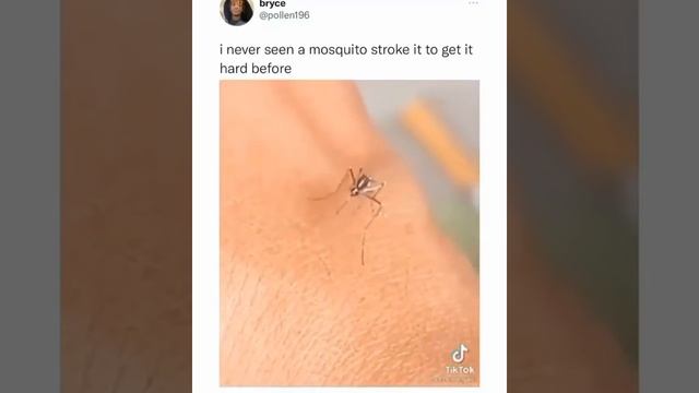 Сделай Себя Лучше