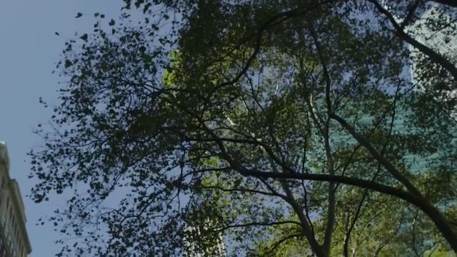 А ты боишься темноты? .Страшные. Мистические. Творческие рассказы. смотреть онлайн