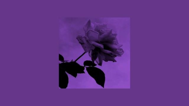 Shadow Lady - Portwave [ Slowed Down ]