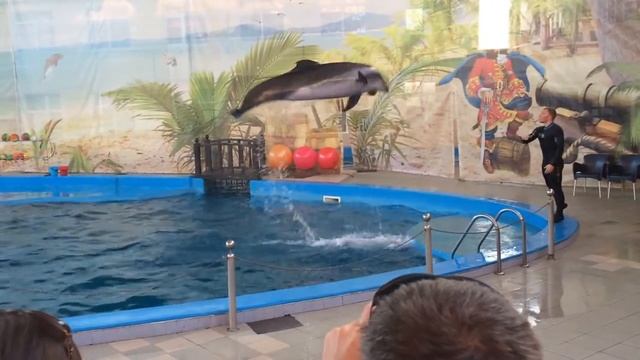 Почемучка Варя.Дельфинарий/Лазаревское