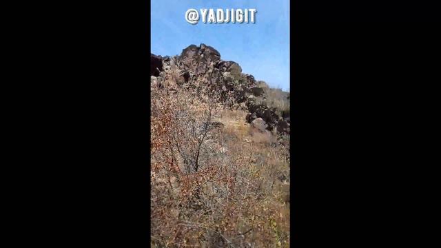 Горы Сукока (Узбекистан, Паркент) 22.10.2022 🎼 Иво Кузнецкий смотреть онлайн
