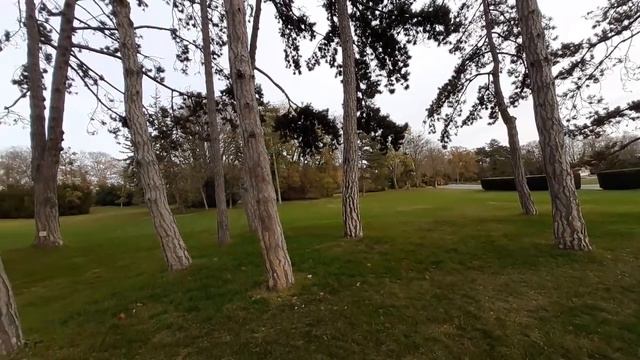 Куда я спешу после работы Позитив вокруг нас