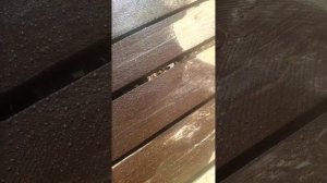 Продолжаю строить забор из досок "Ранчо". Показал процесс сборки щита (наполнения) и установки его.