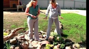 Ракарий, альпинарий. Сад камней