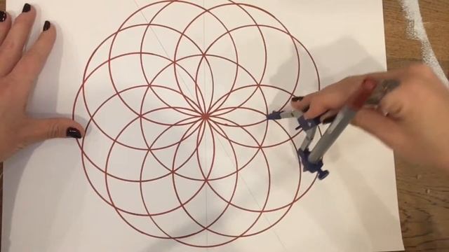 How To Draw a Sacred Geometry Torus Mandala ? I Torus Mandala Nasıl Çizilir ? / Kutsal Geometri смотреть онлайн