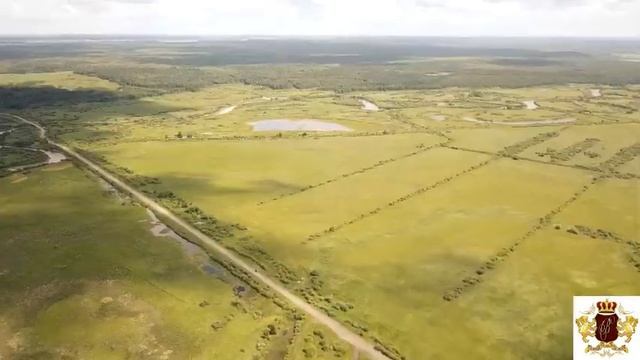 Участок Московский тракт Тюменский гектар 100 соток смотреть онлайн