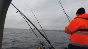 Селедка пошла. Морская Рыбалка на Балтийском море с Лодки.