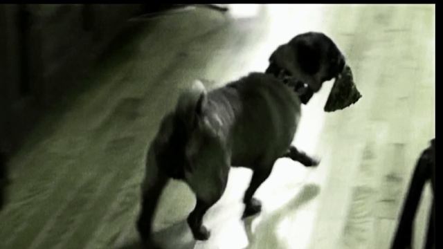 SNEAKY SNITCH - Kevin MacLeod - MINECRAFT GAMING MUSIC смотреть онлайн