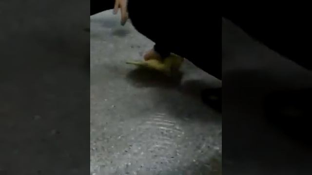 Как правильно мыть пол смотреть онлайн