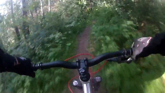 MTB freeride спуск от "вековой сосны" г. Белокуриха, Август 2016г смотреть онлайн