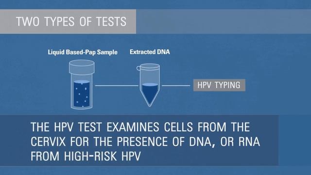 Human Papillomavirus (HPV) Statistics | Did You Know? смотреть онлайн
