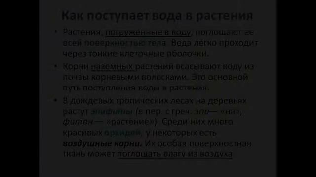 Вода в жизни растений и животных смотреть онлайн