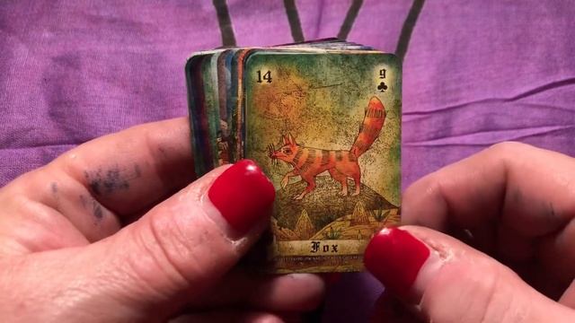 DECK REVIEW: Gravenchase Lenormand смотреть онлайн