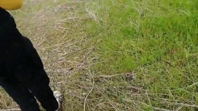 на карьеры правая сторона смотреть онлайн