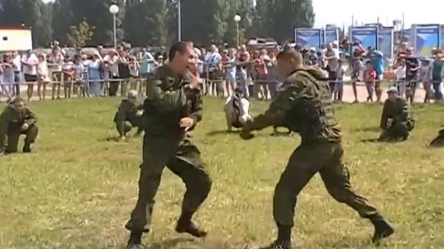 Ульяновск. 30 июля. В парке имени Маргелова праздник.