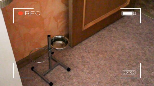 ЗАВТРАКИ/ПЕРЕКУСЫ В ШКОЛУ//BACK TO SCHOOL смотреть онлайн