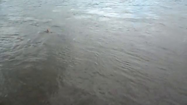 Рыбалка на тайменя в Якутии! смотреть онлайн