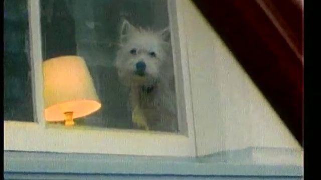 Дуэт Прощай, молодость! - Сюрреализм смотреть онлайн