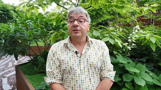 Un automobiliste agresse un piéton aveugle après lui avoir grillé la priorité смотреть онлайн